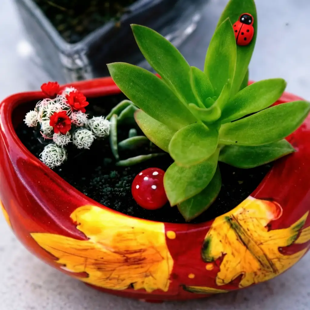 火祭 (Crassula capitella 'Campfire') — 特写