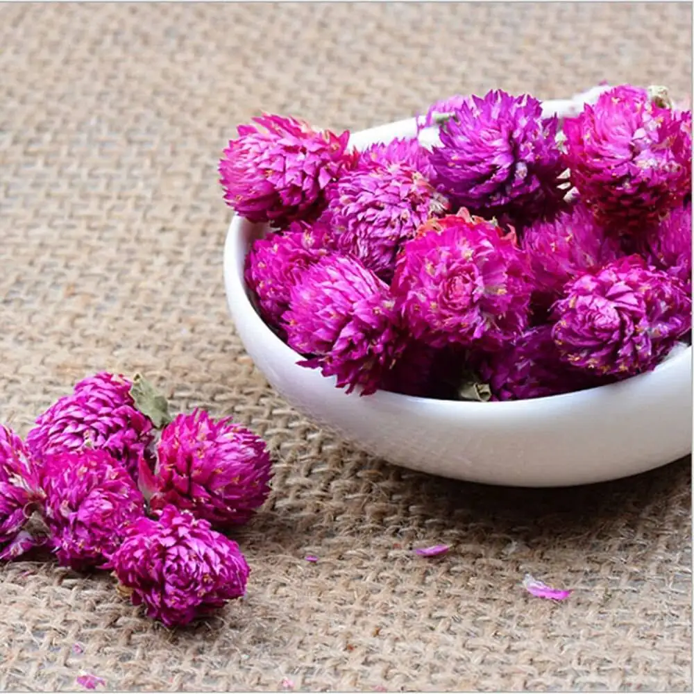 千日红 (Gomphrena globosa) — 更多视角