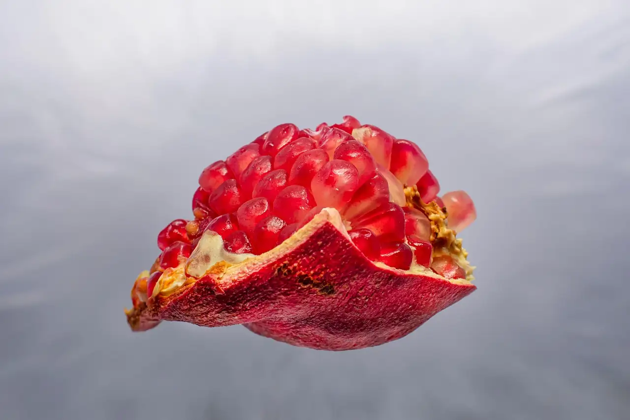 石榴 (Punica granatum) — 更多视角