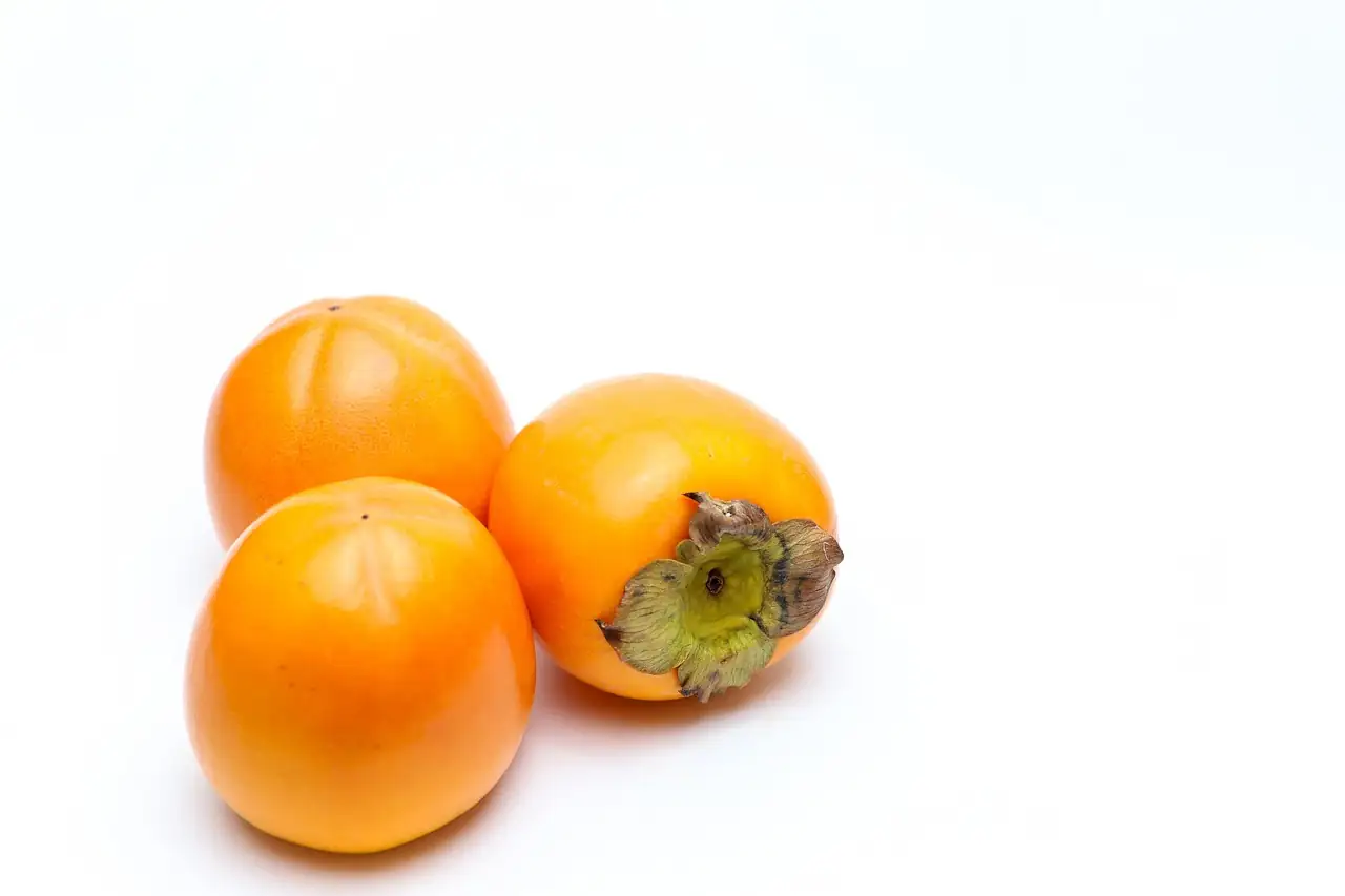 柿树 (Diospyros kaki) — 更多视角