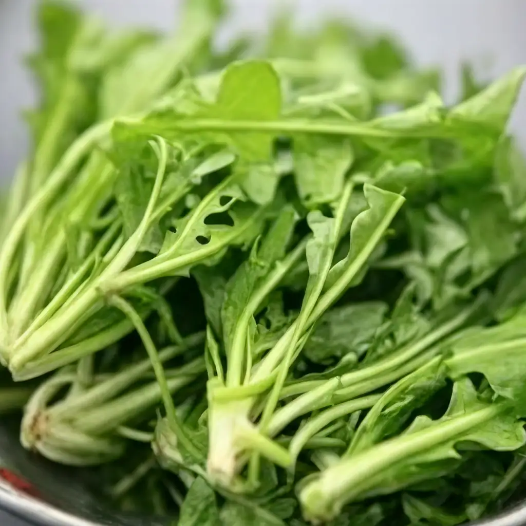 荠菜 (Capsella bursa-pastoris) — 细节