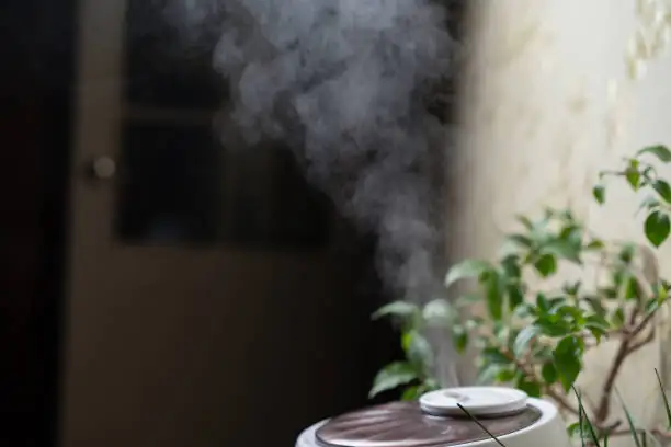 Indoor humidity for plants