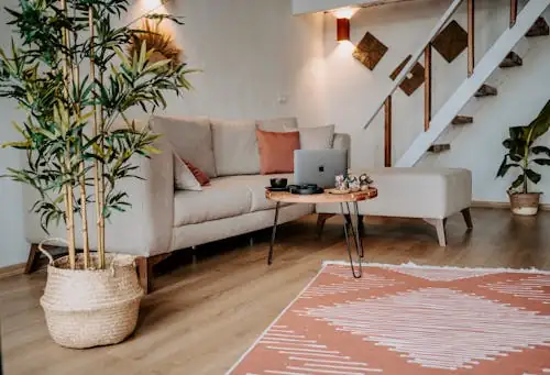 Living room indoor plants