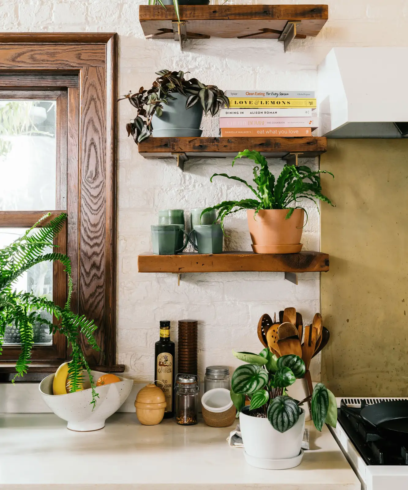 kitchen indoor plants