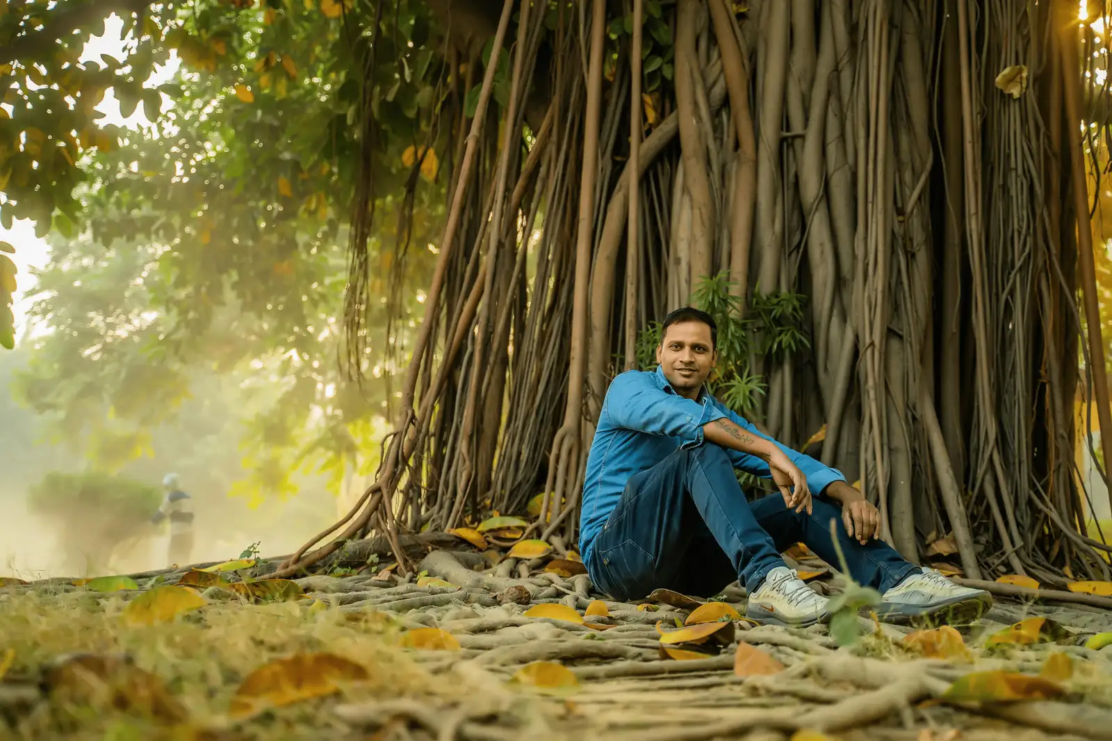 strangler fig tree in rainforest