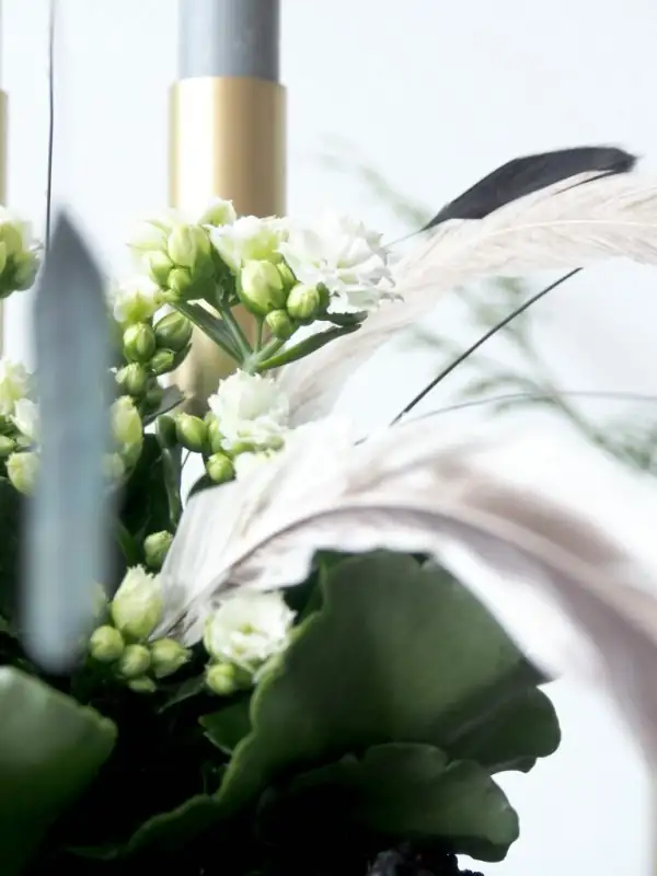 kalanchoe holiday decoration