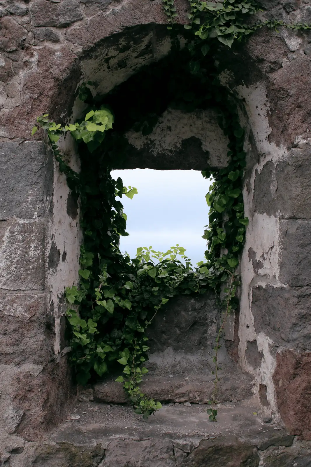 ivy in medieval church decor