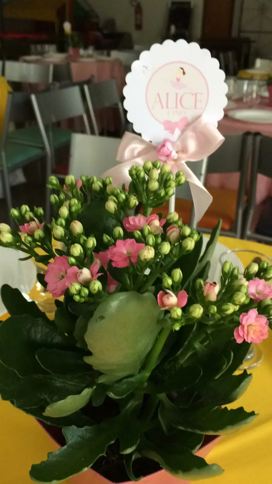 kalanchoe centerpiece on dining table