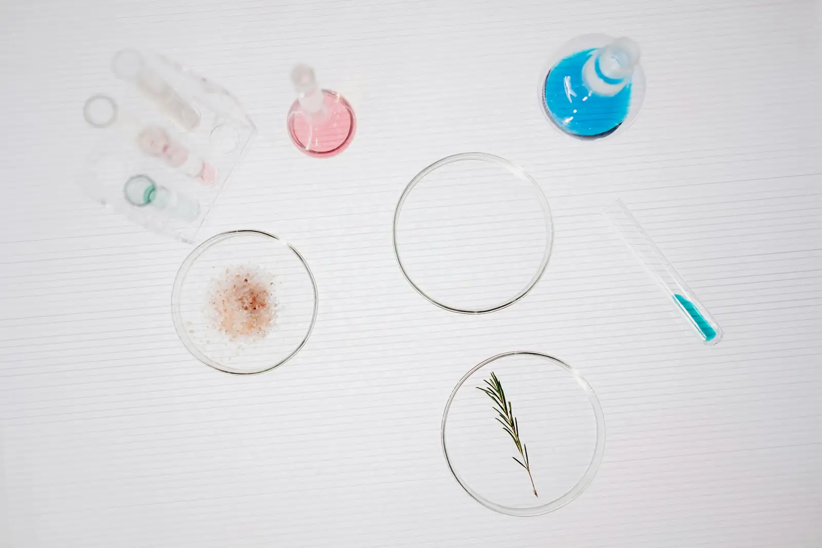 rosemary antioxidant research lab