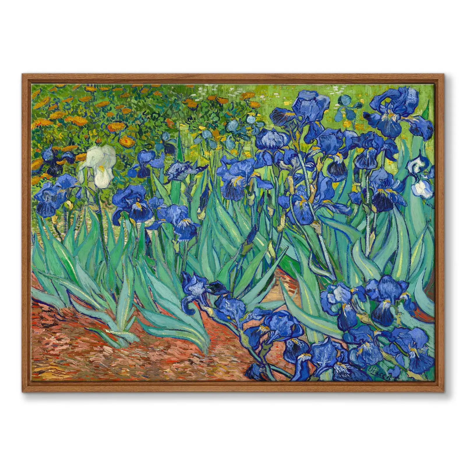 Van Gogh iris painting
