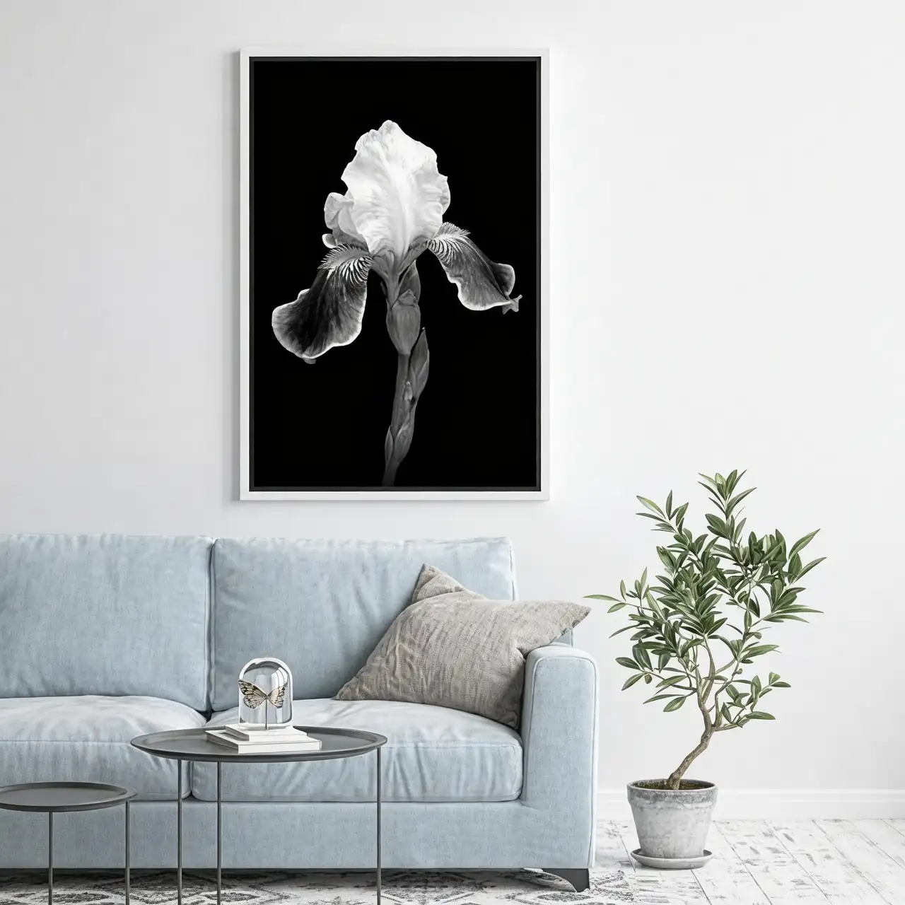 iris with modern decor