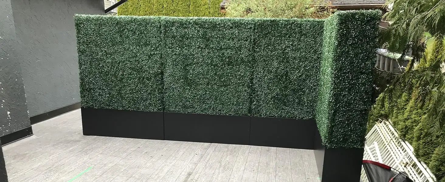 boxwood garden hedge