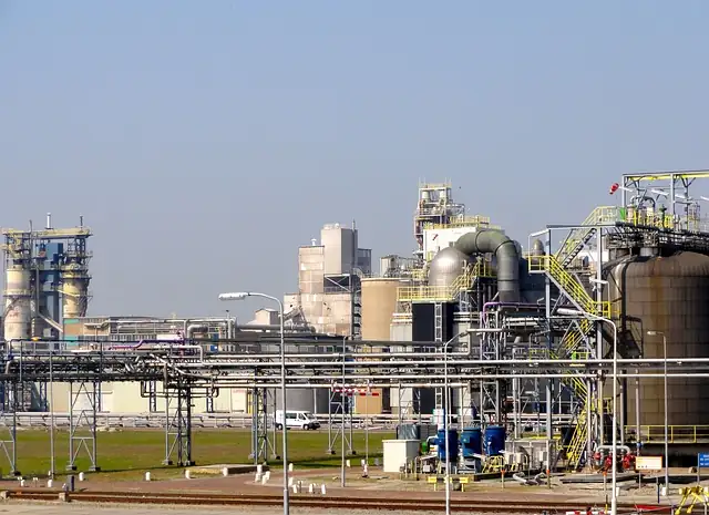 buddleja plant division process
