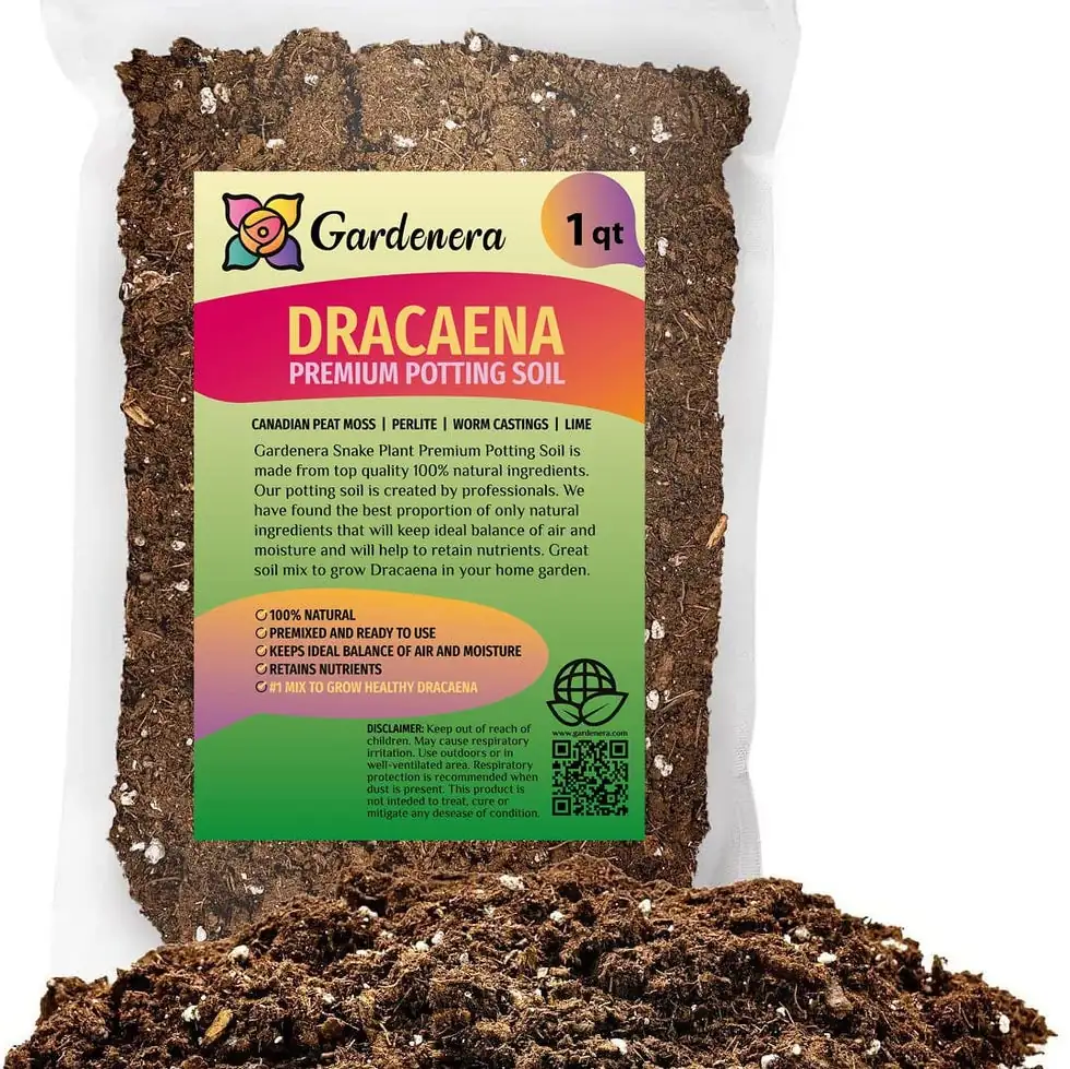 dracaena draco potting soil mix