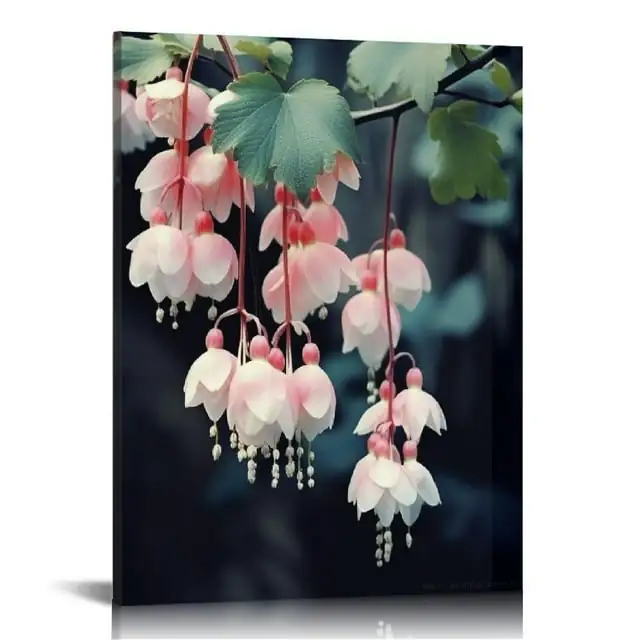 begonia in modern living room