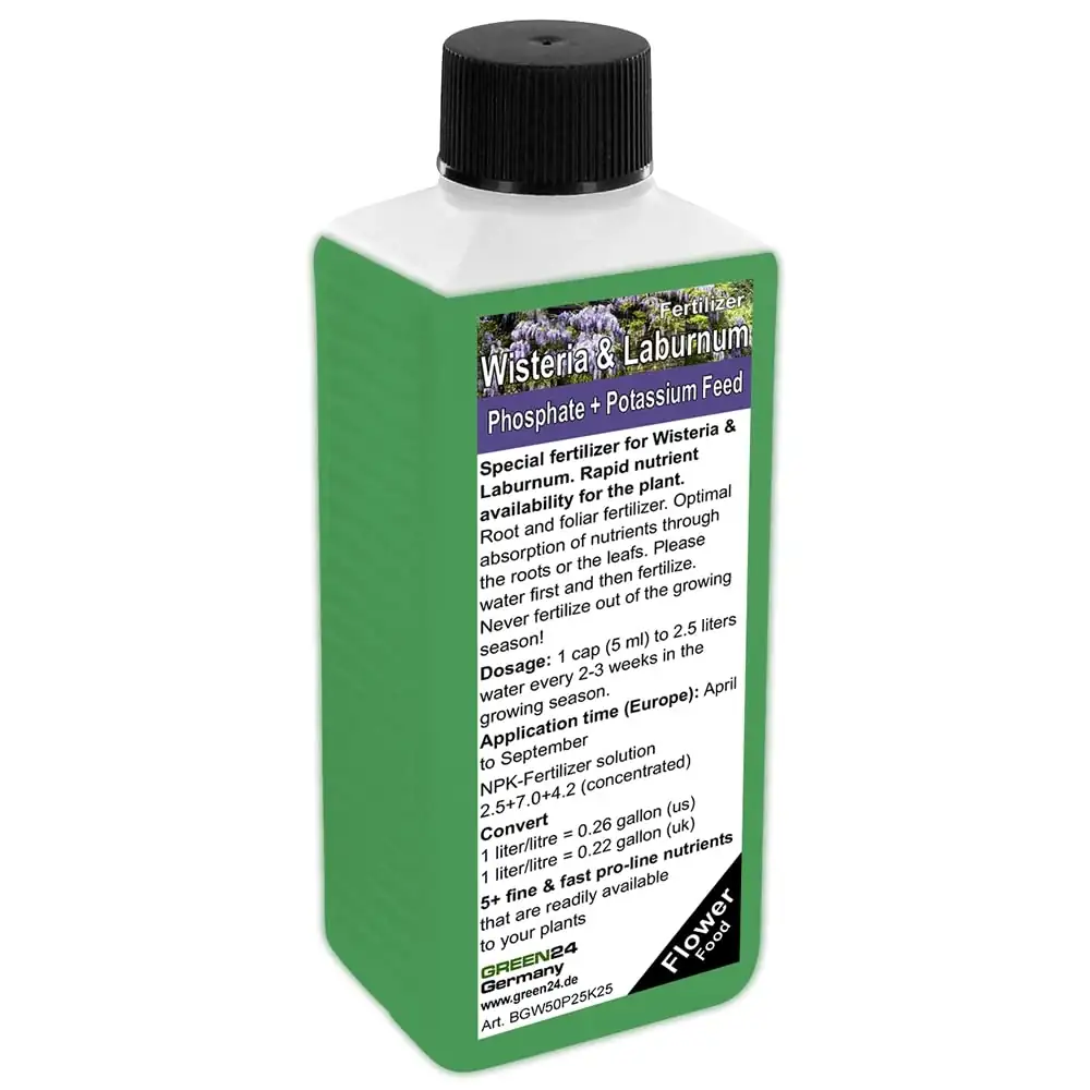 wisteria soil preparation