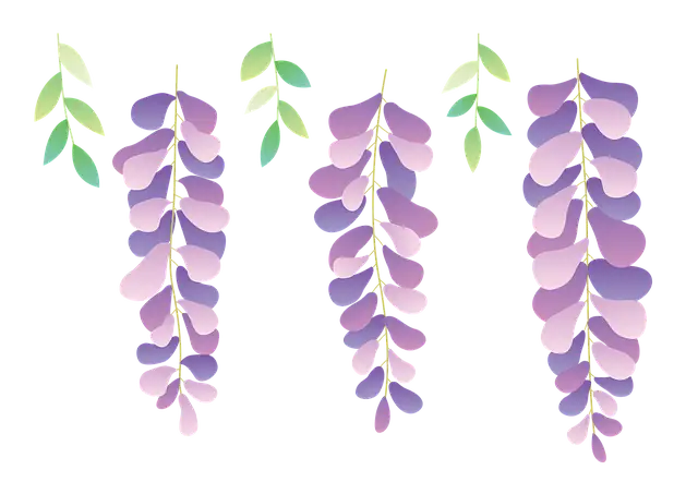 wisteria bonsai creation