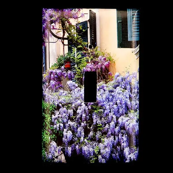 wisteria climbing wall