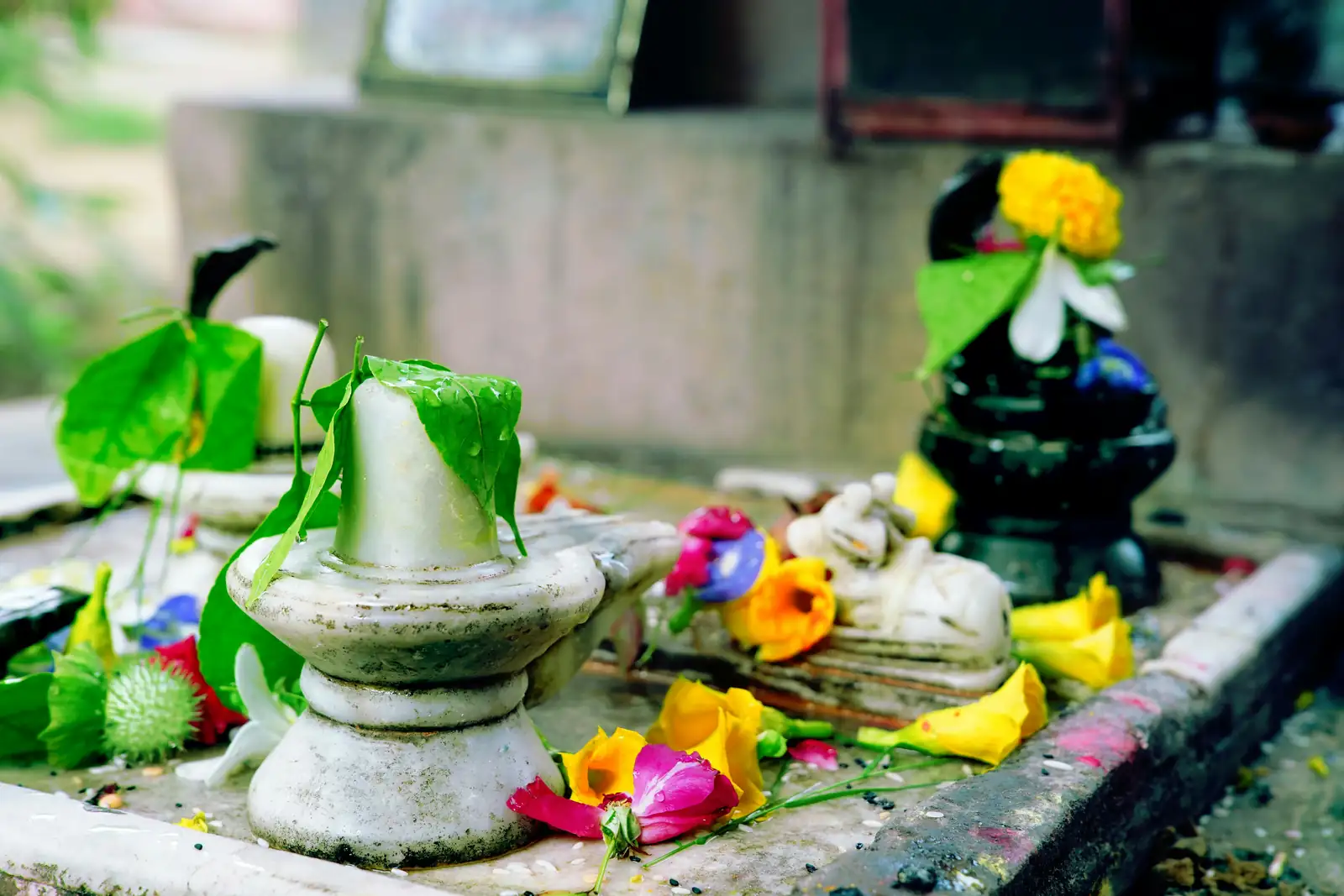 ancient Indian basil use
