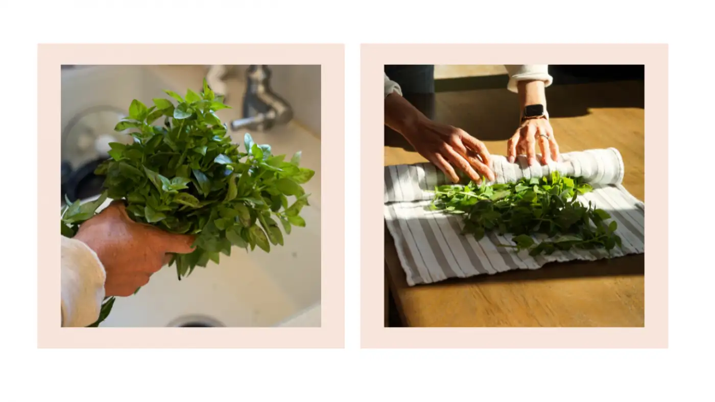 basil leaves in kitchen