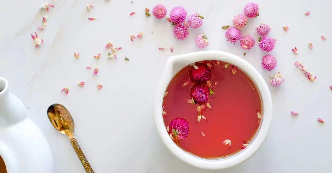 globe amaranth tea preparation