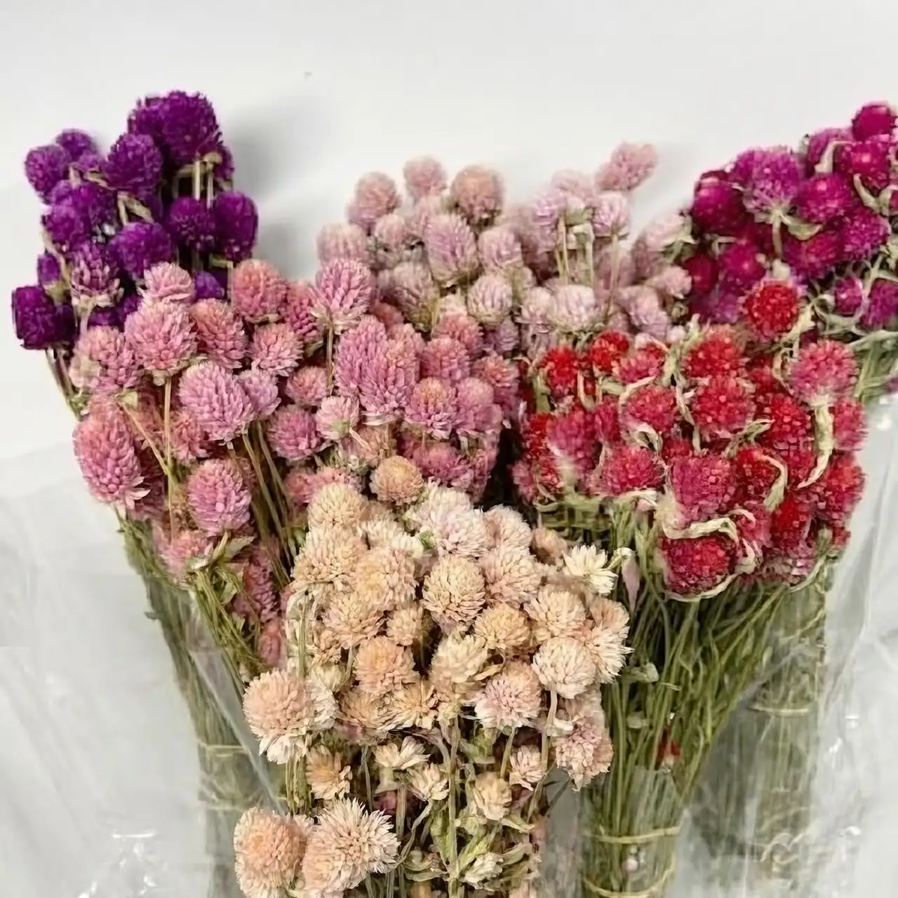 gomphrena dried flower arrangement