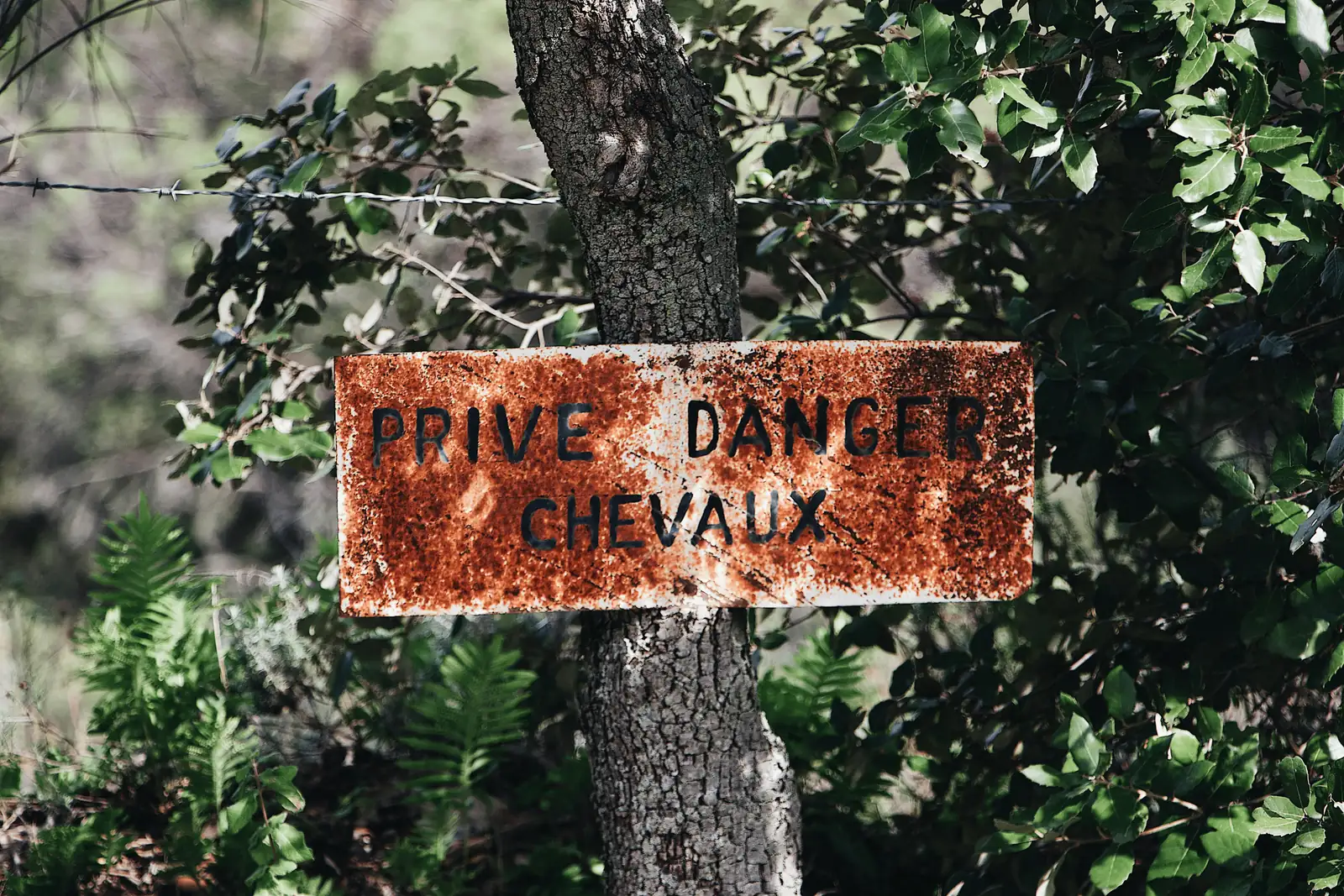 oleander warning sign