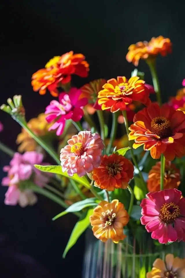 zinnia in vase arrangement