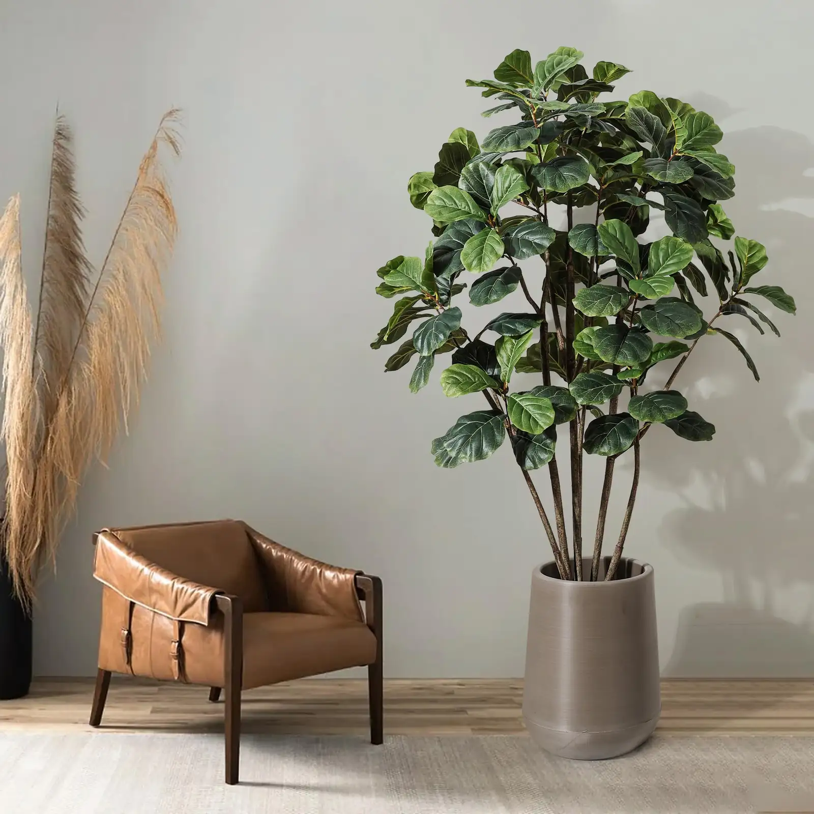 fiddle leaf fig living room corner