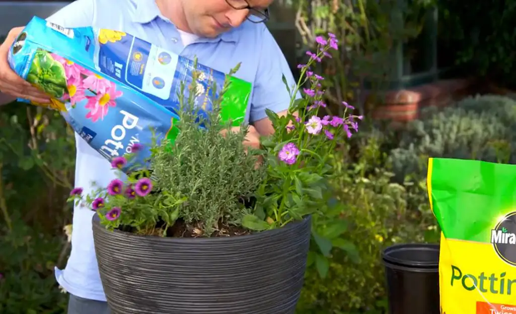 impatiens in pot with well-drained soil