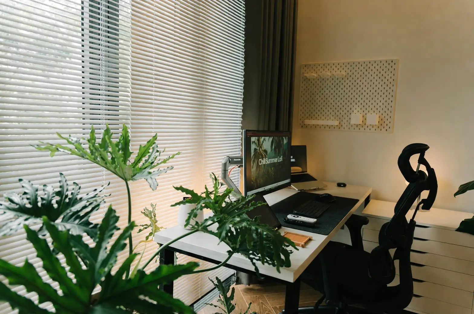 schefflera office desk