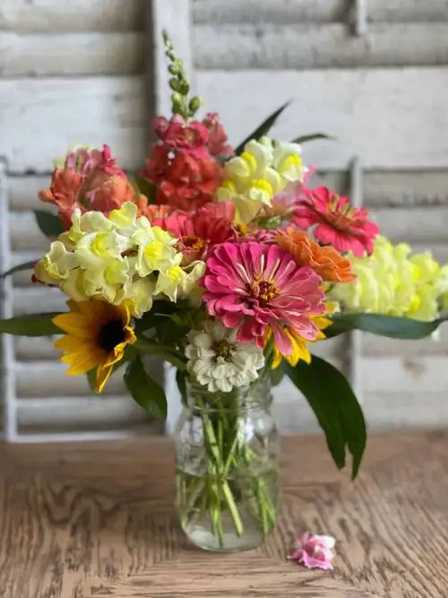 snapdragon in flower arrangement