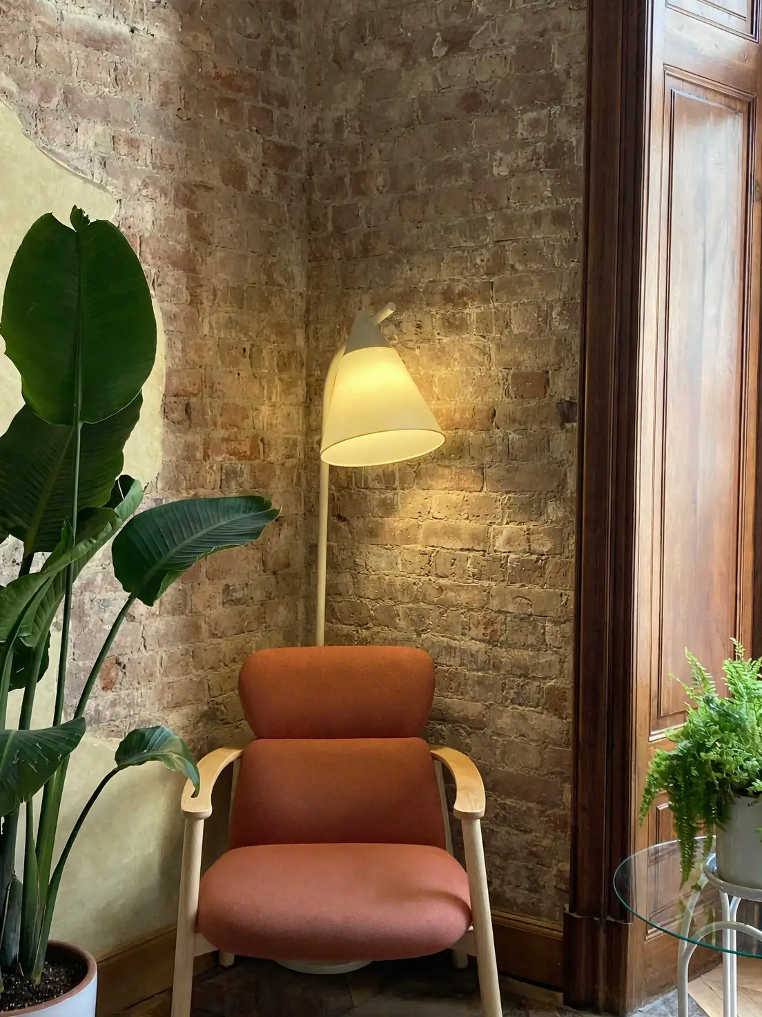 pink princess philodendron living room corner