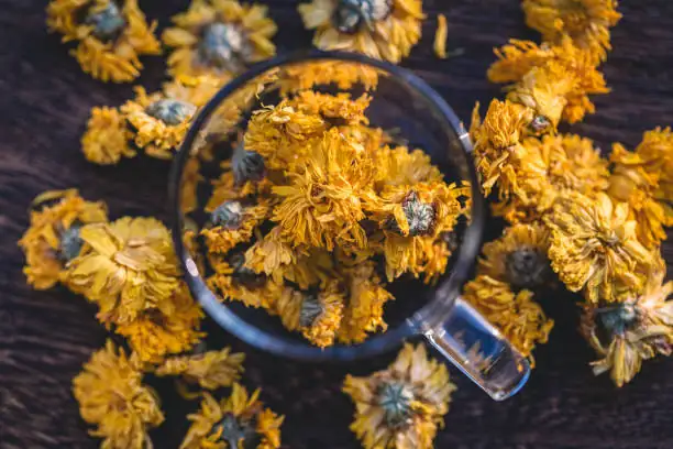 美化你的家：菊花在室内设计中的巧妙应用