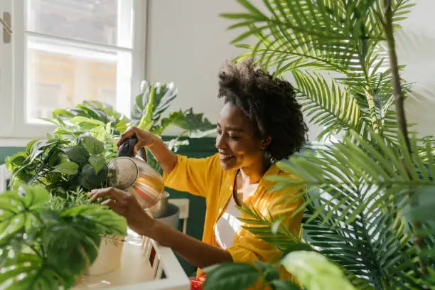 watering plants with care