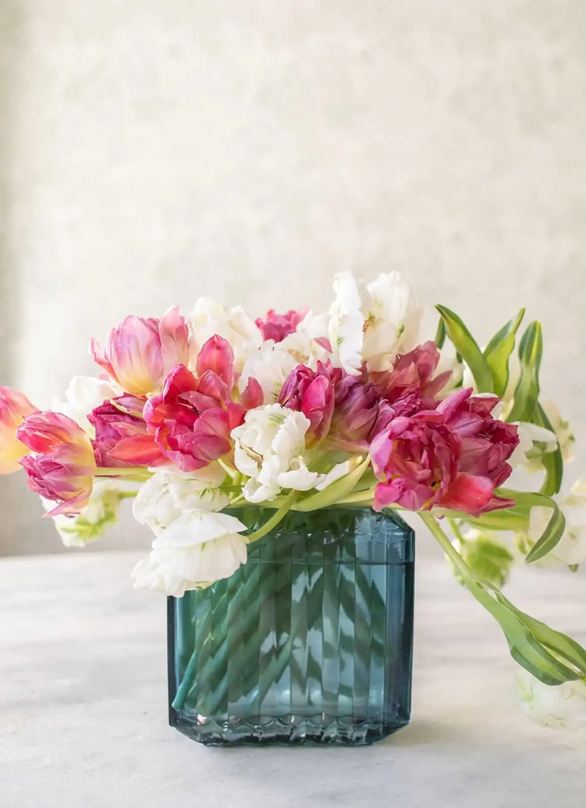 tulip varieties in vase