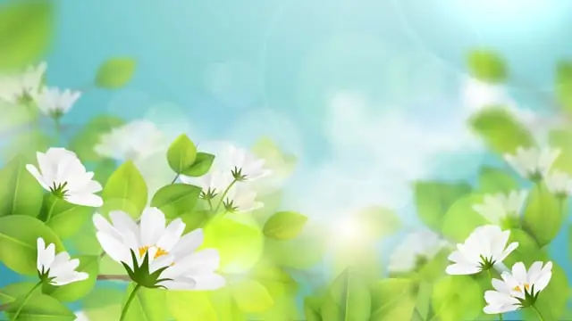 fertilizing flowering plants
