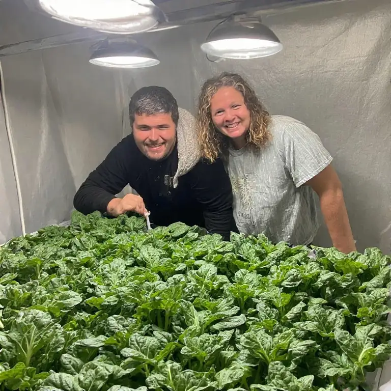 揭秘植物养护的季节节奏：如何跟上气候变化的步伐？