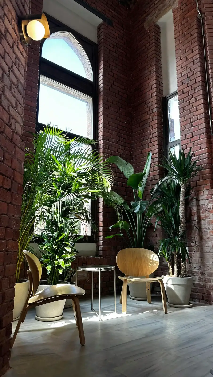indoor plants sunlight exposure