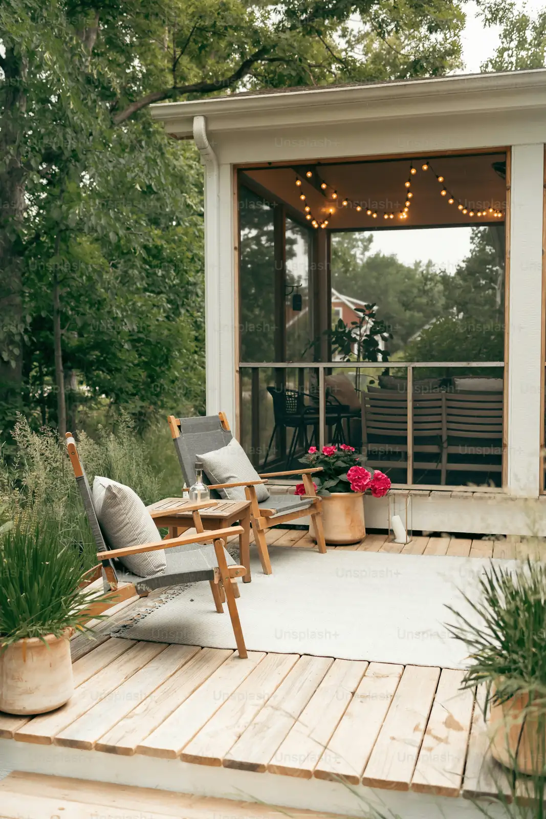 azalea potted plant patio
