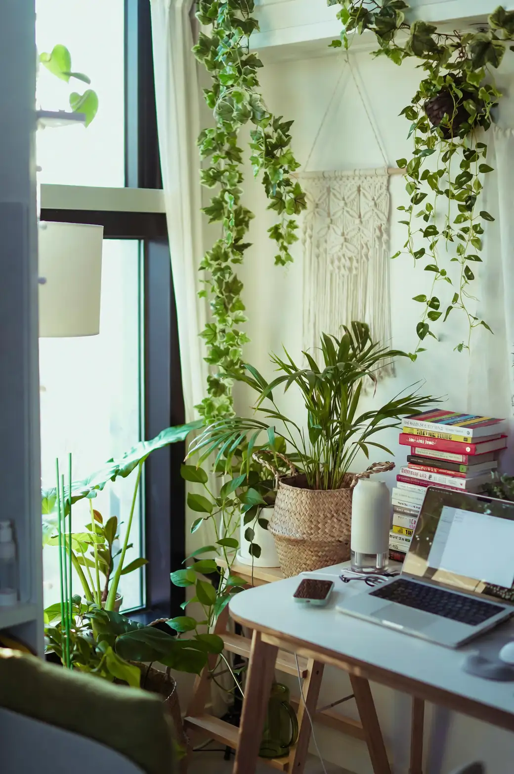 indoor plant ventilation setup