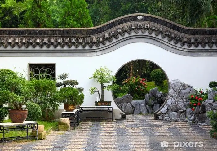 从古至今：万年青的悠久历史与传奇故事
