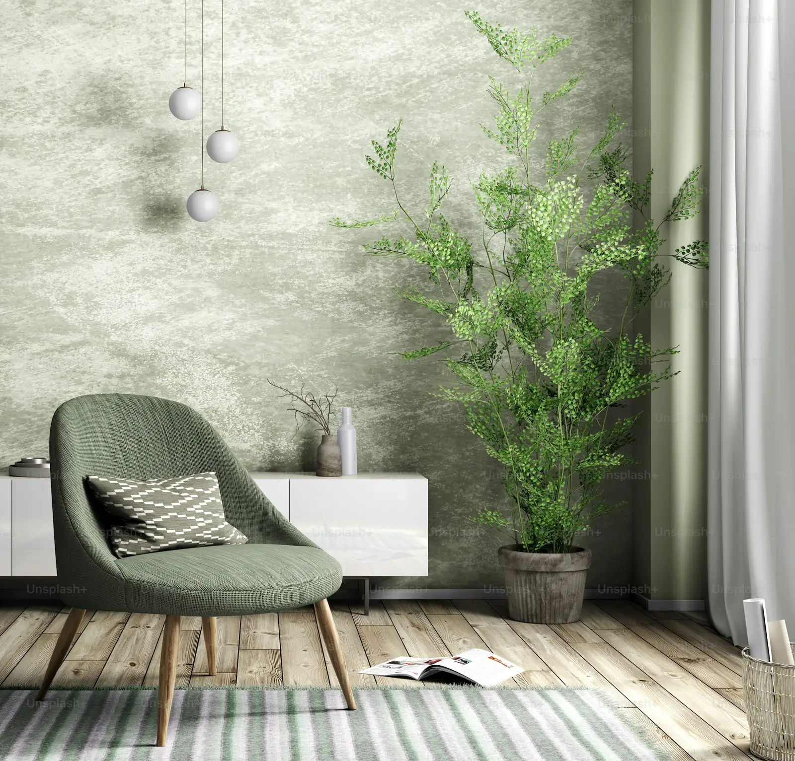 evergreen plant in western home decor