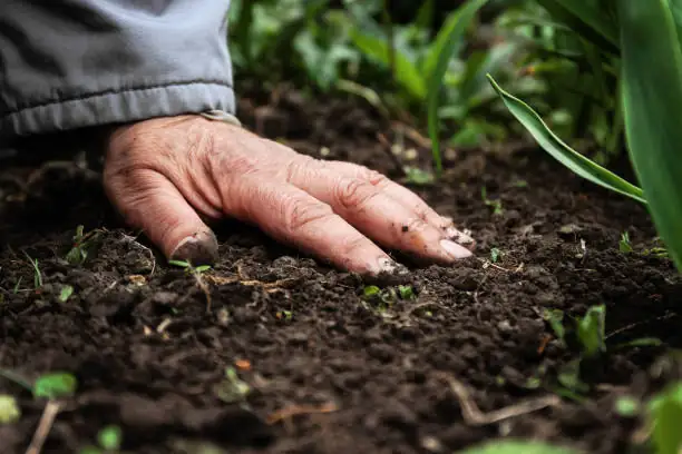 soil moisture observation hands
