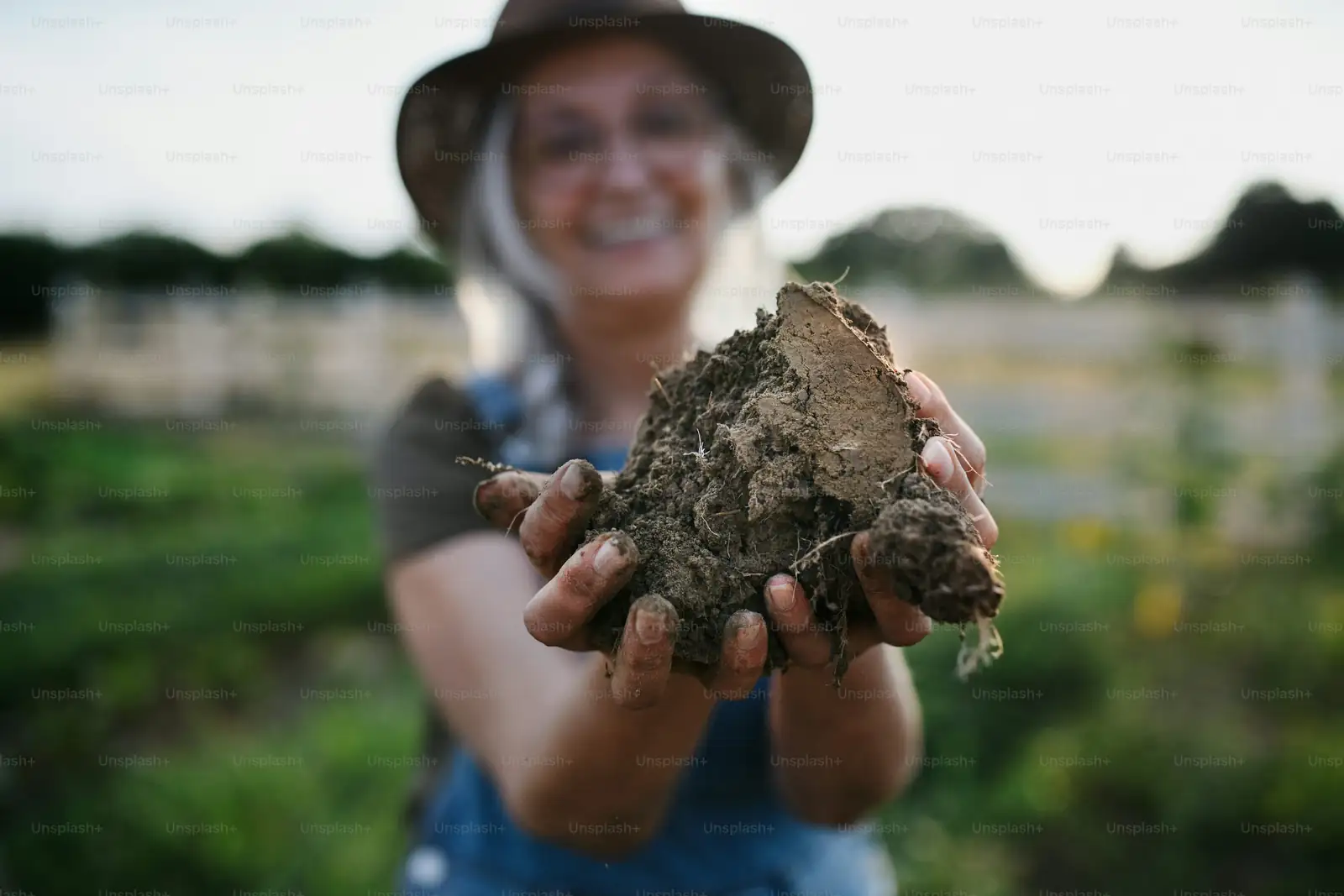 soil dryness check hand