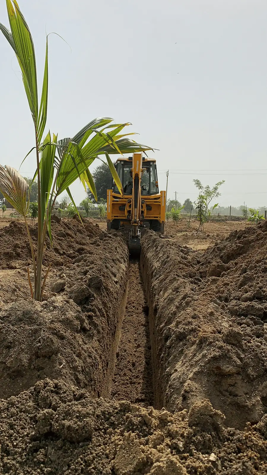 fertilizer trench application