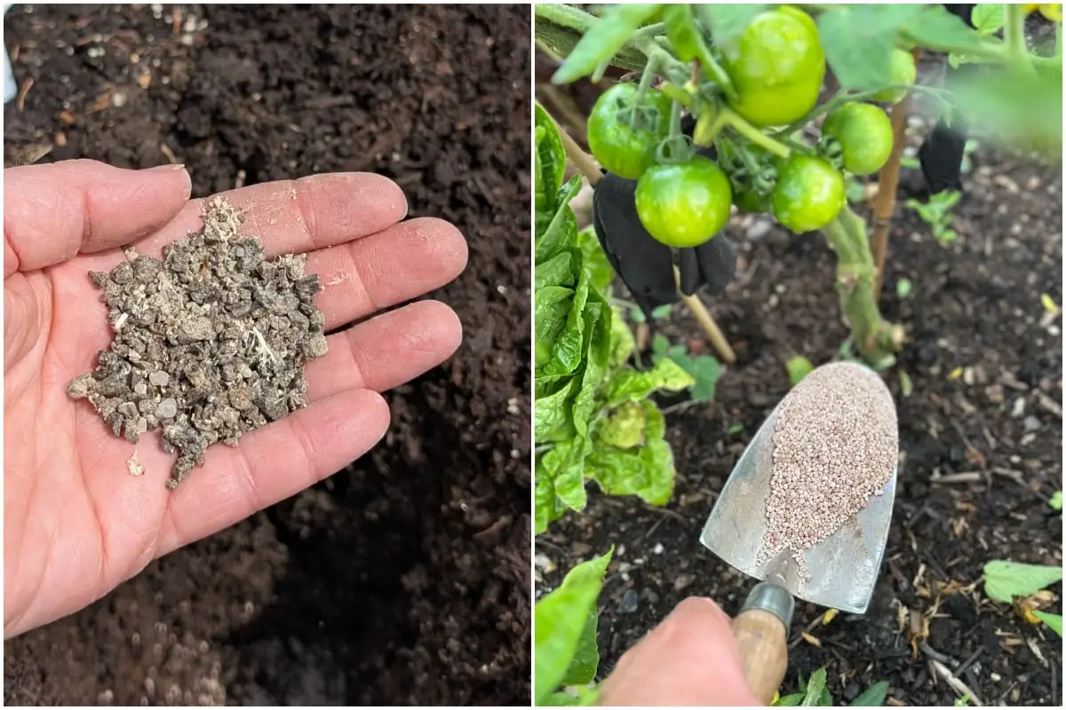 summer garden balanced fertilizer