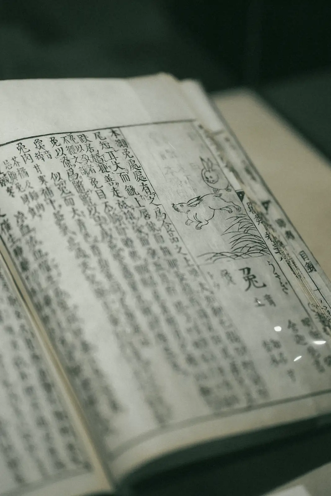 ancient chinese poetry book