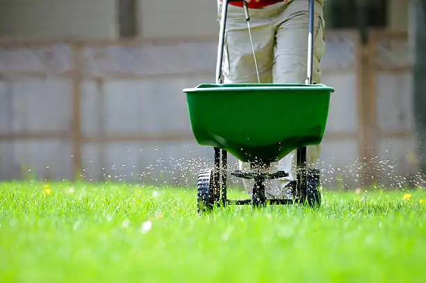 autumn garden fertilizing