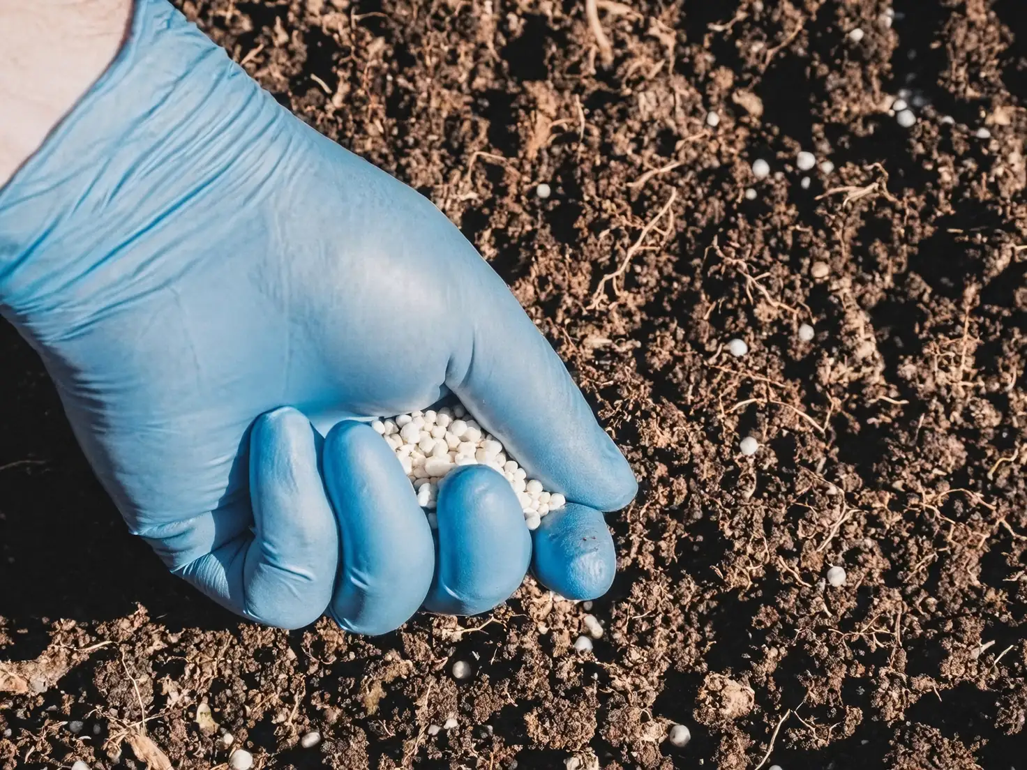fertilizer application on soil